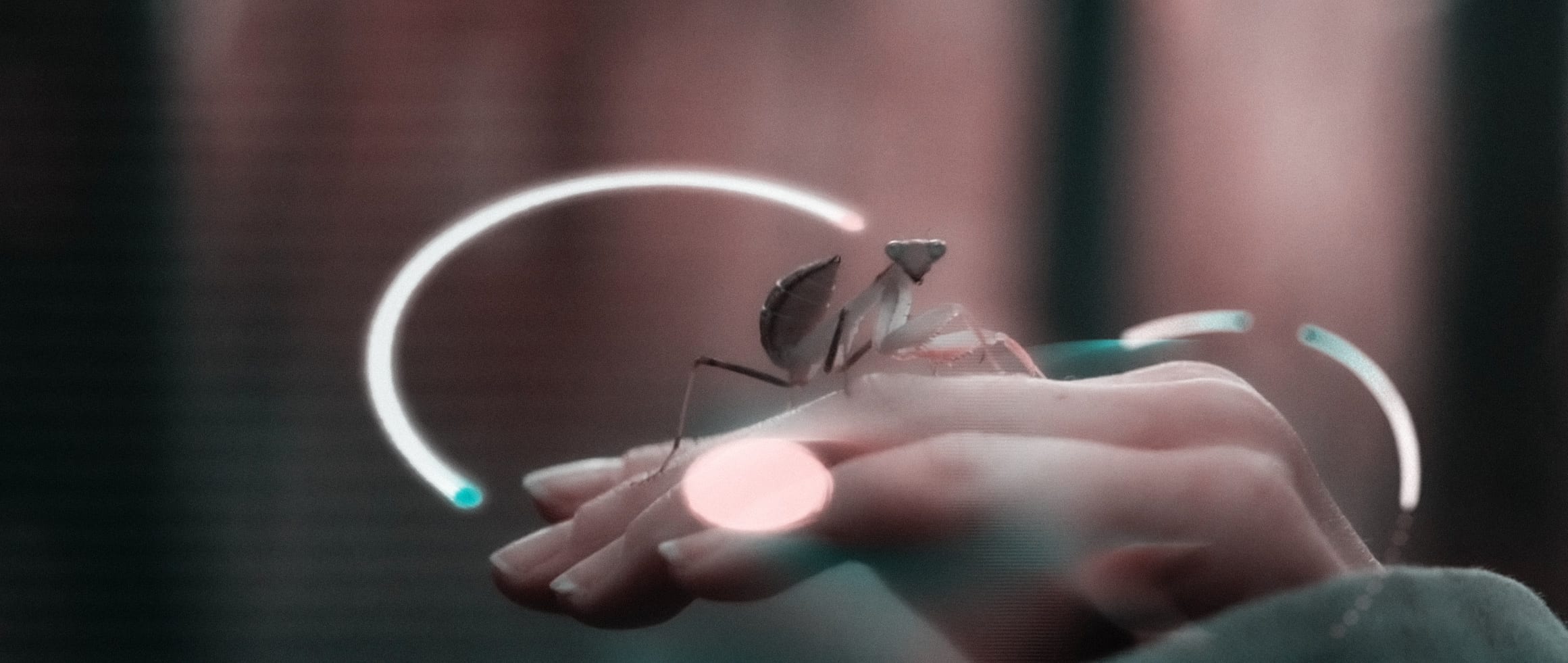 A holographic Earth insect resting on a human hand within arcs of augmented light