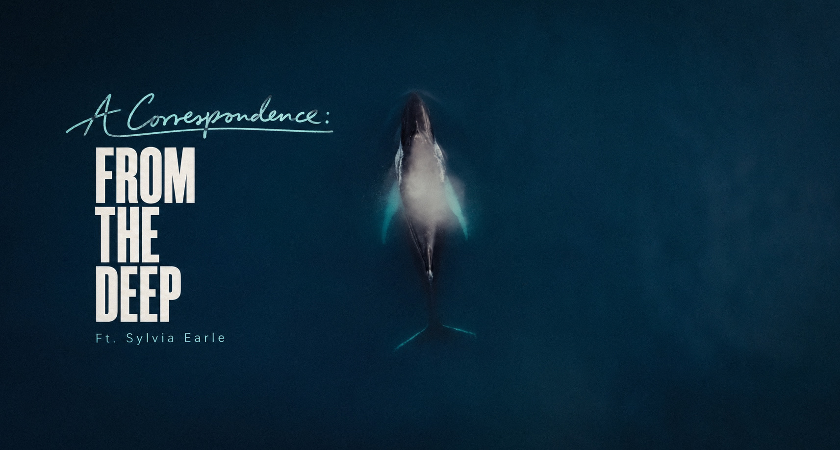 Vertical condensed title typography balanced against a whale seen from above in deep blue water